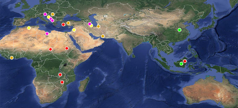 Geophysical Service Reference Map 